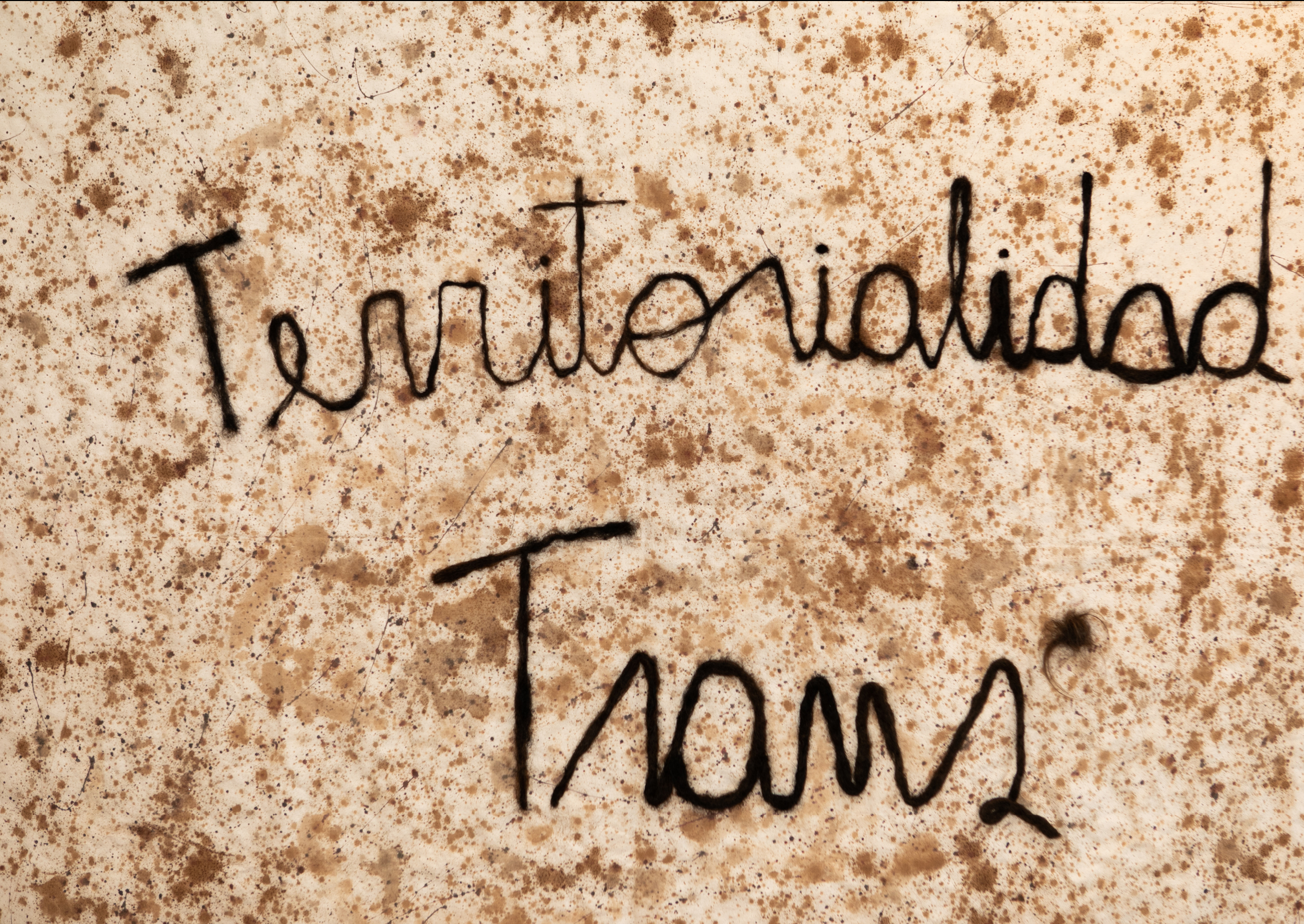 Trans*Semiosis: escrituras, cuerpos y textiles